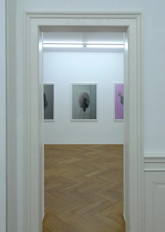 Nature Morte No. (1),9,(5)