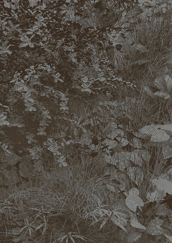 Title: Mines du Jardin No. 1