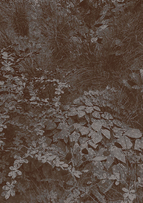 Title: Mines du Jardin No. 2