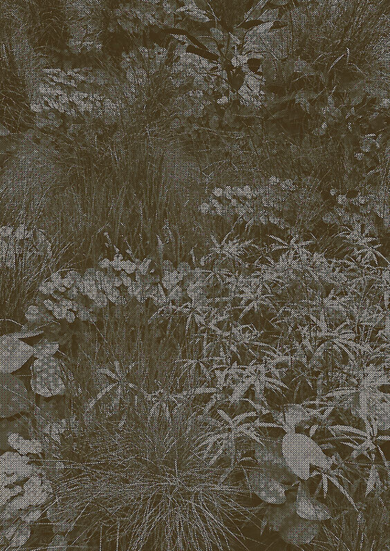 Title: Mines du Jardin No. 3