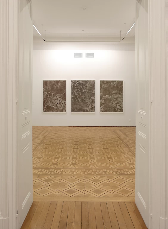 Mines du Jardin No. 2,1,3