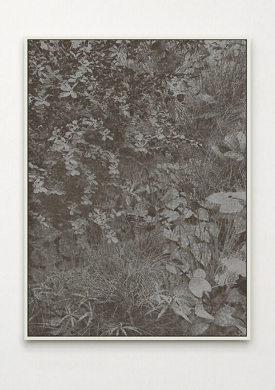 Title: Mines du Jardin No. 1