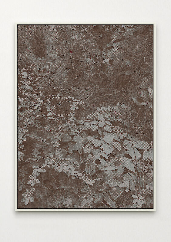 Title: Mines du Jardin No. 2