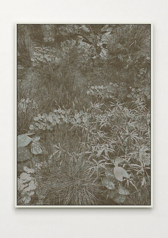 Title: Mines du Jardin No. 3