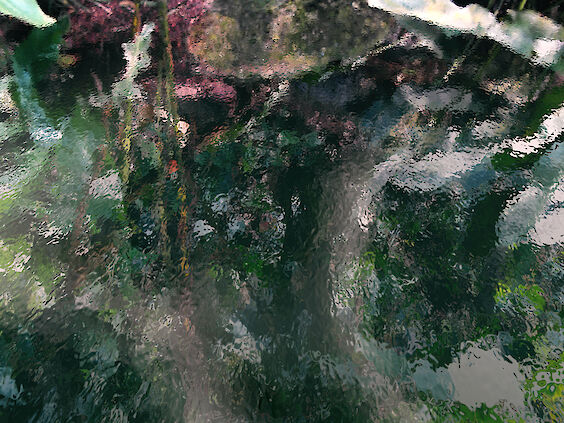 Title: Paysage Numérique No. 1