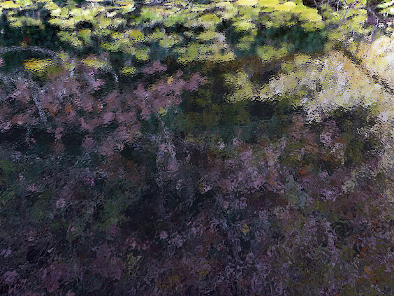 Title: Paysage Numérique No. 4