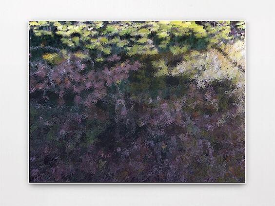 Title: Paysage Numérique No. 4
