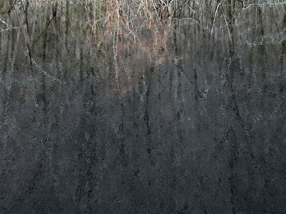 Title: Paysage Numérique No. 5