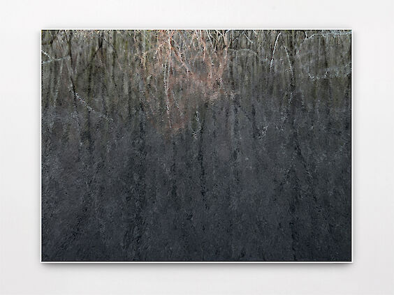 Title: Paysage Numérique No. 5