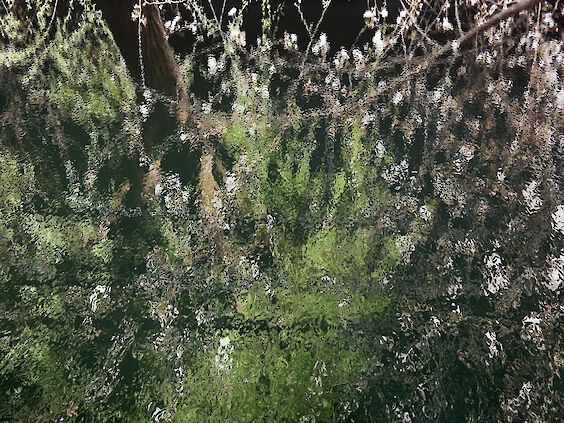 Title: Paysage Numérique No. 11