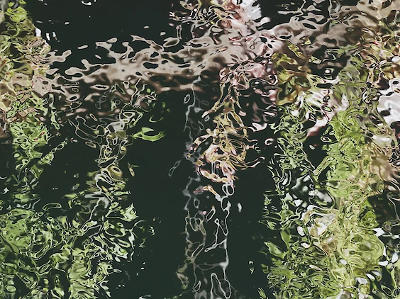 Detail - Paysage Numérique No. 11