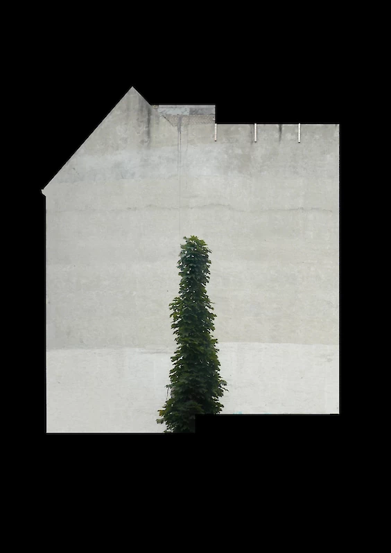 Title: Cropped No. 3