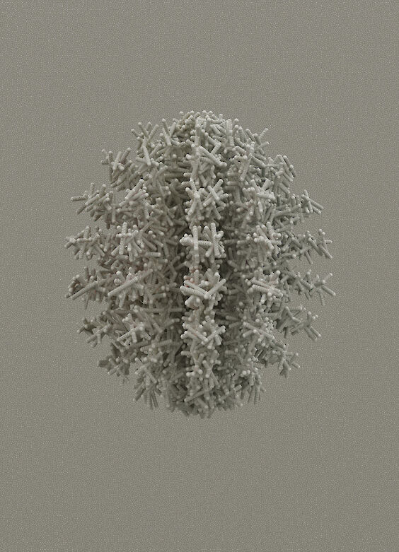 Title: Codex N4