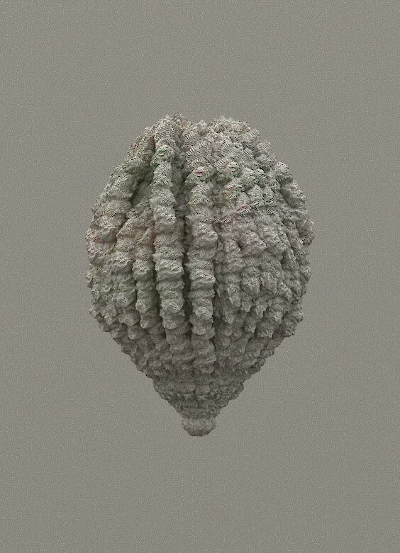 Title: Codex N8