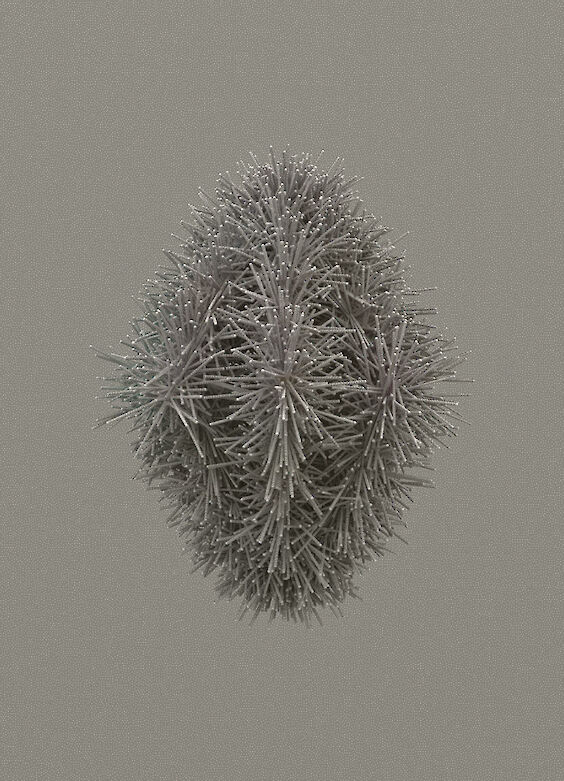 Title: Codex N9