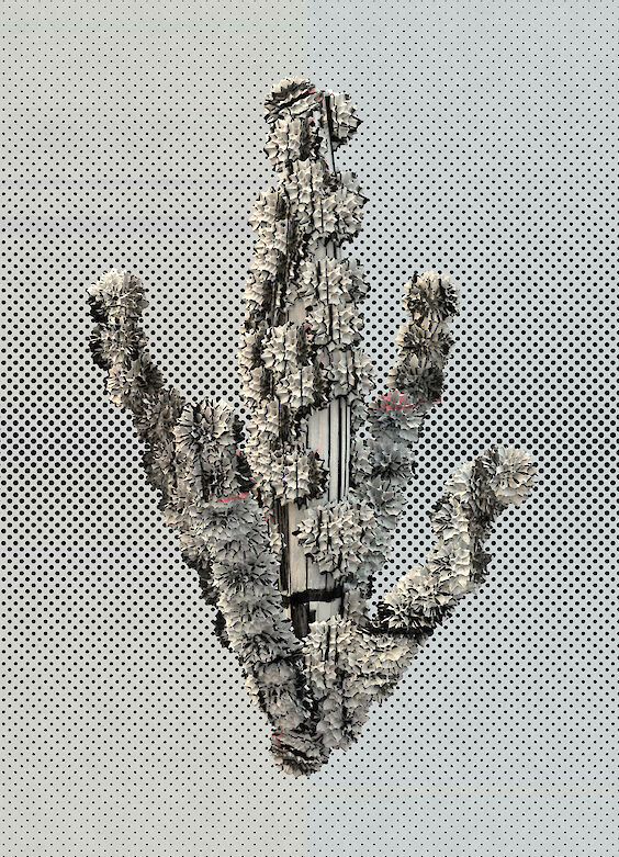 Title: Codex P2