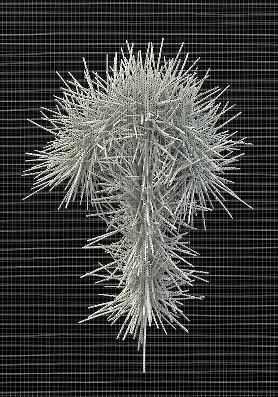 Title: Codex P4