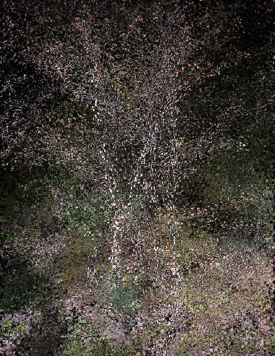 Title: View No. 2