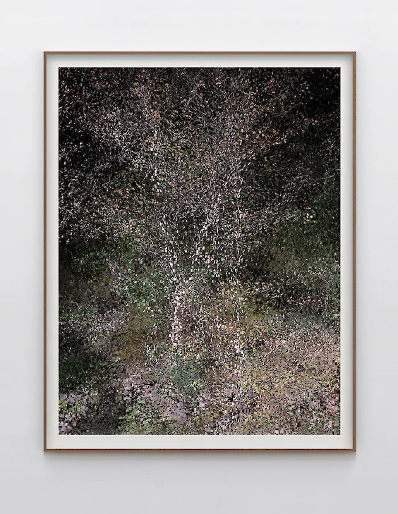 Print & Framing: View No. 2