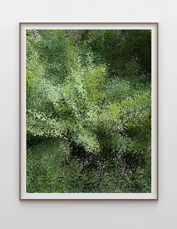 Print & Framing: View No. 3