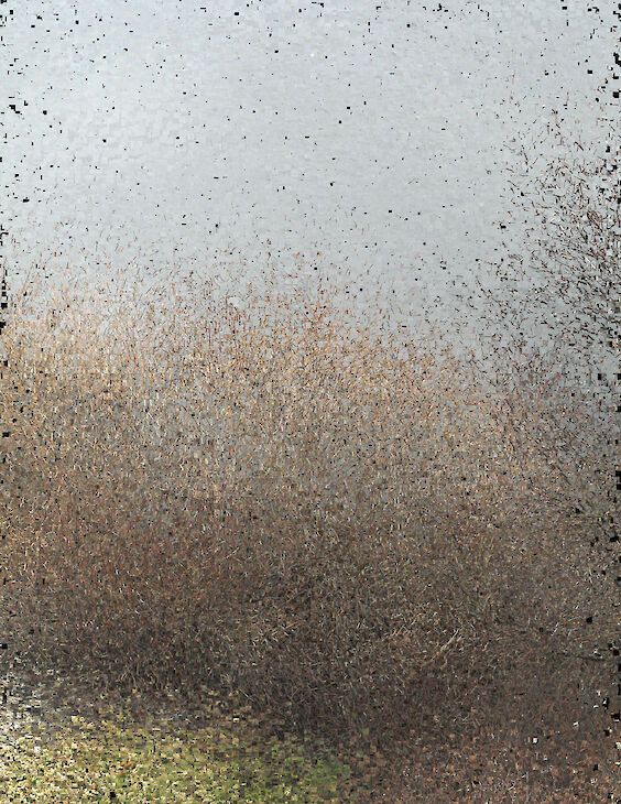 Title: View No. 4