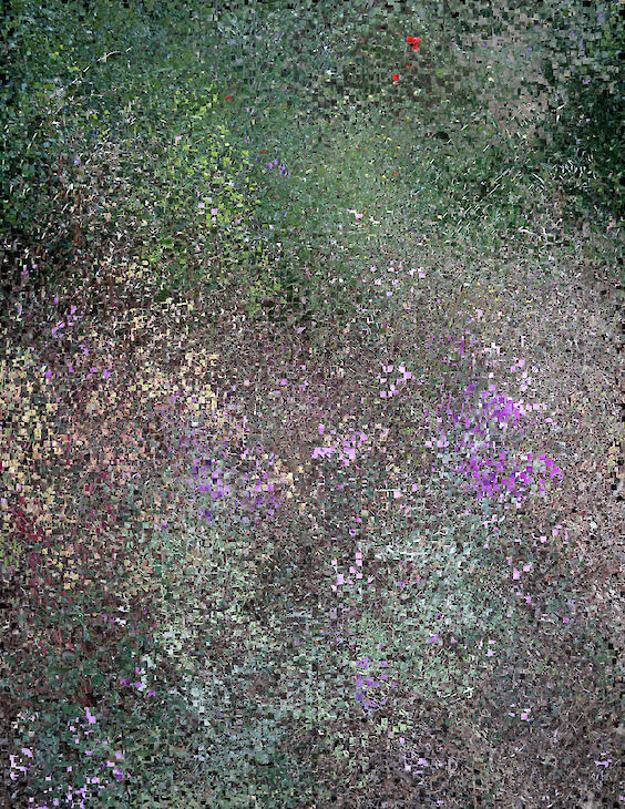 Title: View No. 5