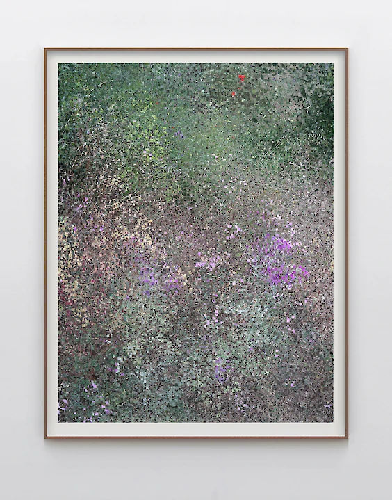 Print & Framing: View No. 5
