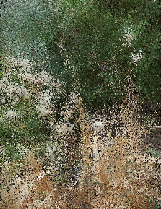 Title: View No. 6
