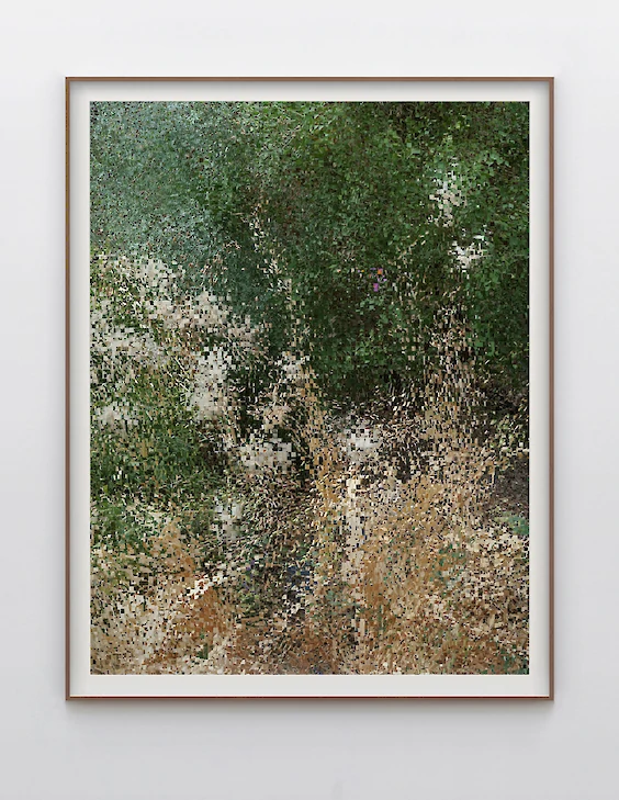 Print & Framing: View No. 6