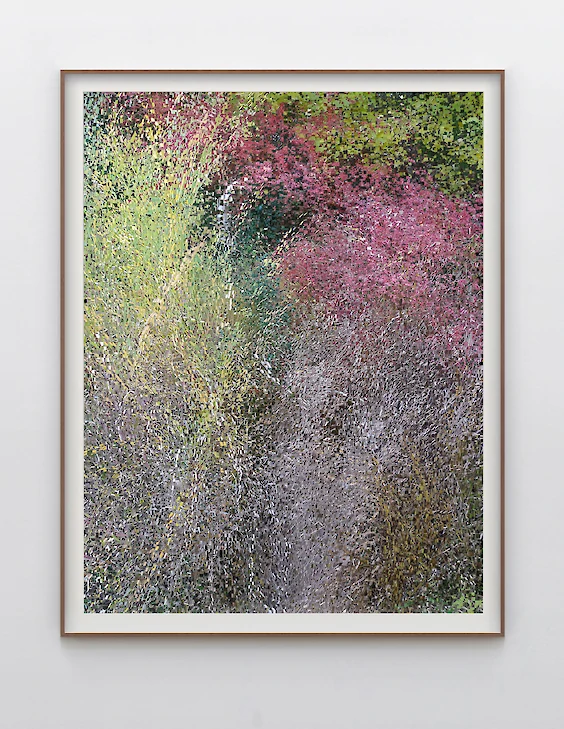 Print & Framing: View No. 8