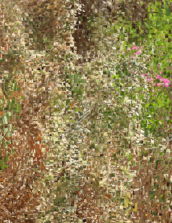 Detail: View No.9