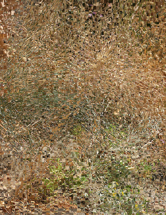 Detail: View No.10