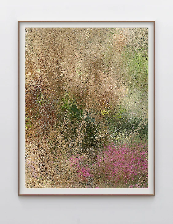 Print & Framing: View No. 11