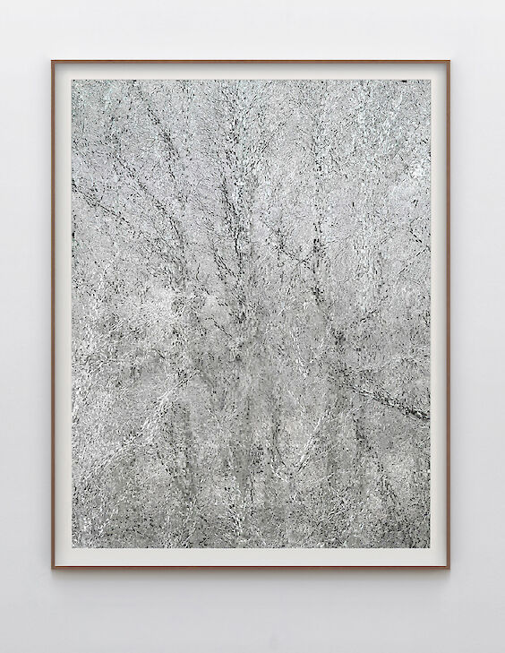 Print & Framing: View No. 13
