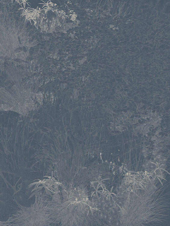Title: Composition No. 1