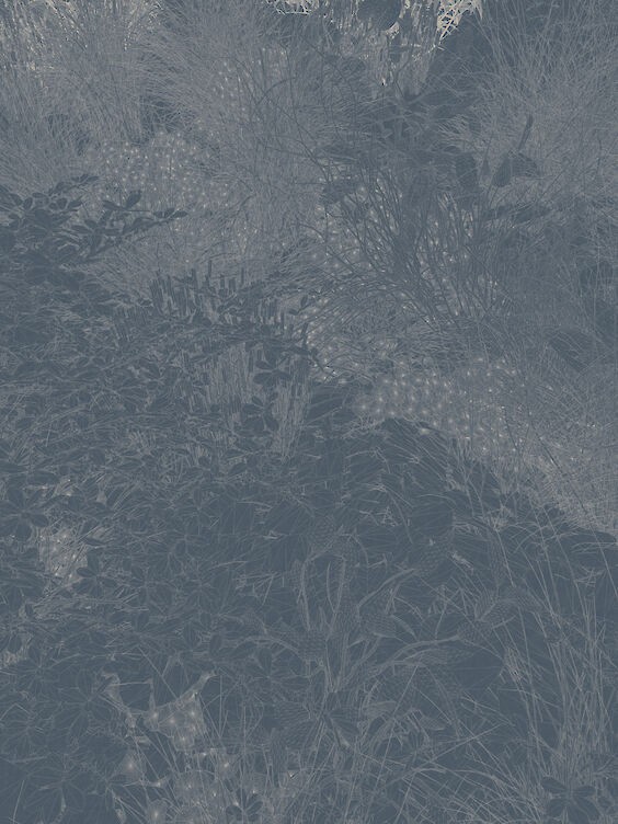 Title: Composition No. 2