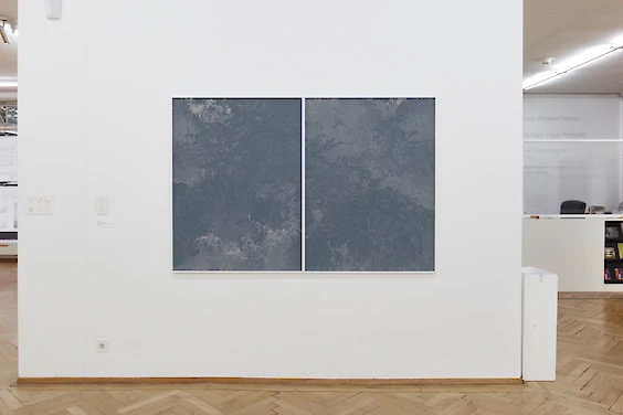 Work Serie: Topologies