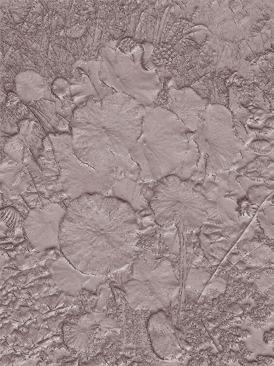Title: Offset No. 1
