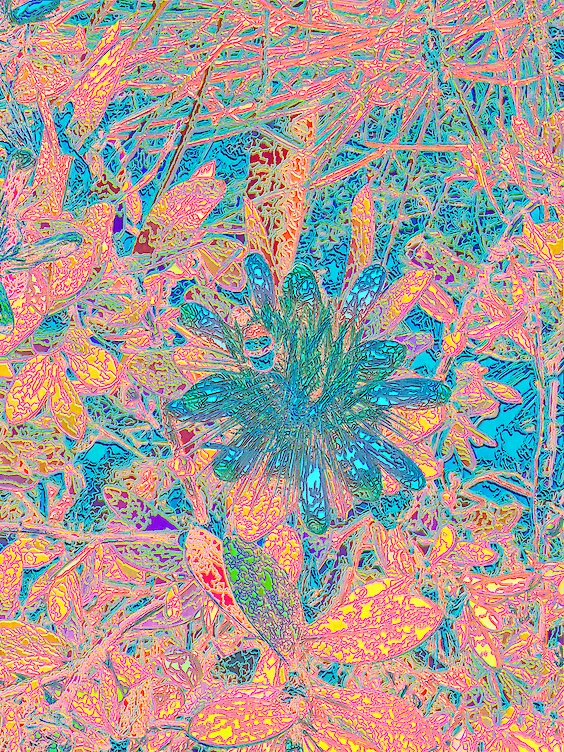 Title: Offset No. 6