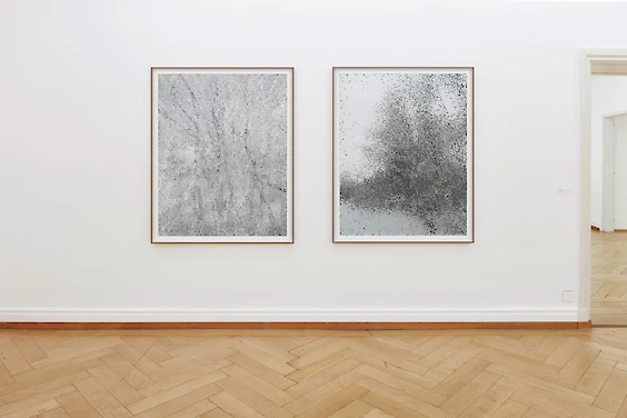 Work Series: Projections