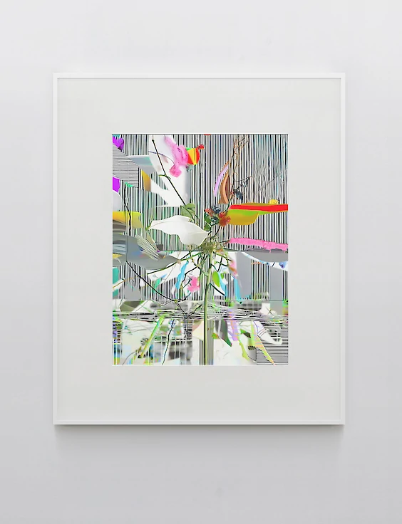 Print & Framing: V_817-04_01-01