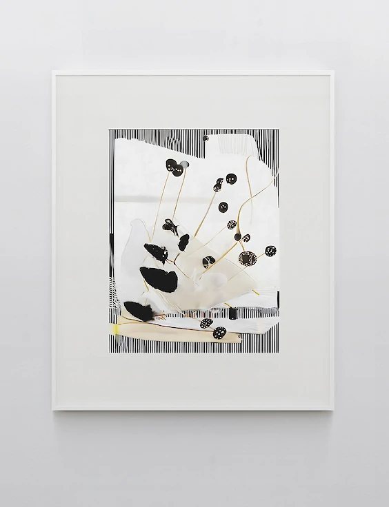 Print & Framing: V_724-17_04-01