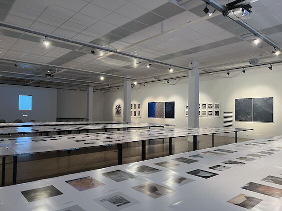 Exhibition View