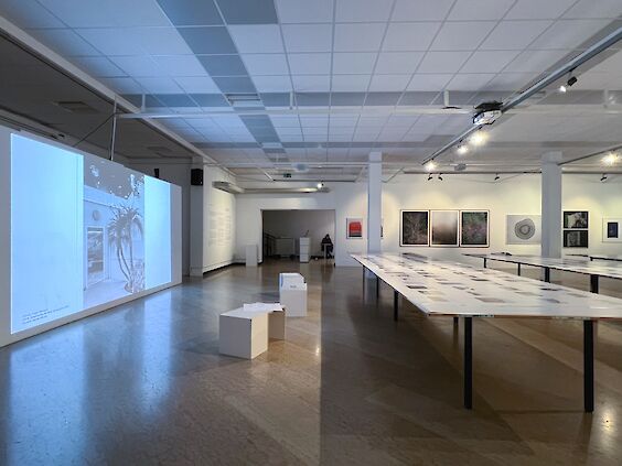Exhibition View