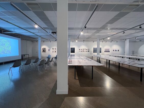 Exhibition View