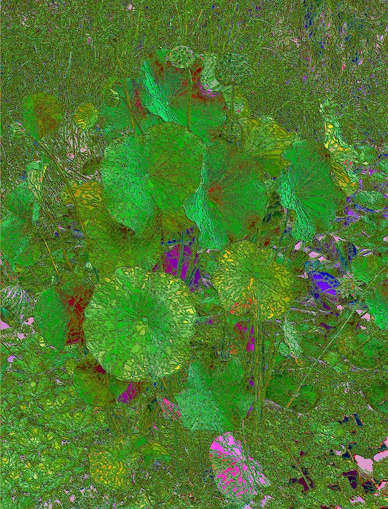 Title: Oscillating Resonance