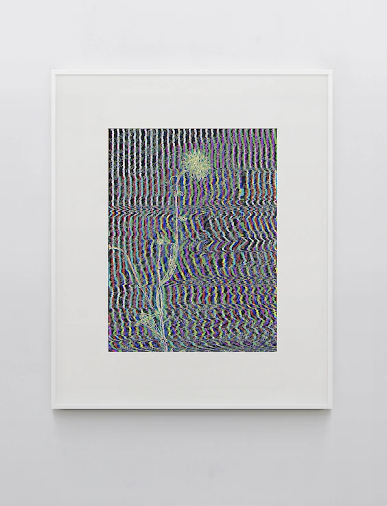 Print & Framing: Unfolding Matter
