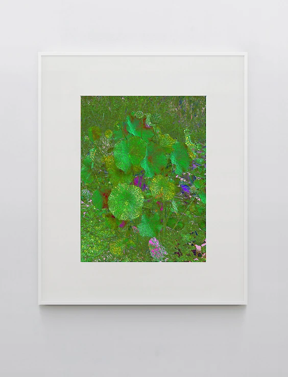 Print & Framing: Oscillating Resonance